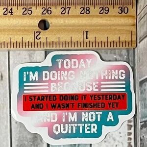 🌀10/$10🌀 Sarcasm Sarcastic Quote Reusable Waterproof Vinyl Sticker Decal